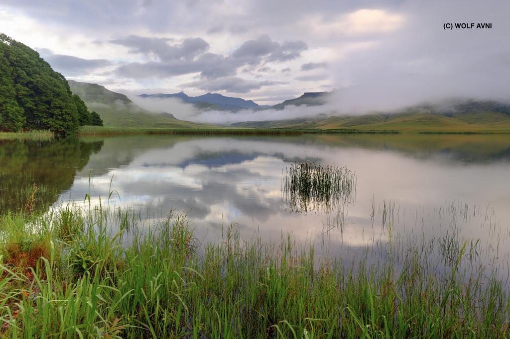 Giantscup Wilderness Reserve أندربرغ المظهر الخارجي الصورة